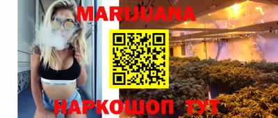 Альфа ПВП Новодвинск