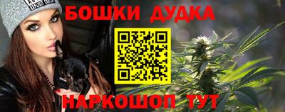Альфа ПВП Новодвинск