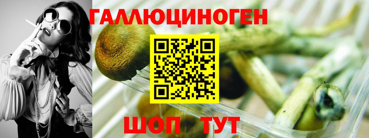 Псилоцибиновые грибы прущие грибы  Вход с VPN  Тосно 